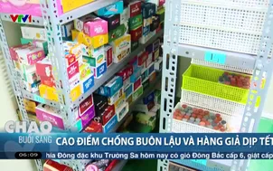 Cao điểm chông buôn lậu và hàng giả dịp Tết