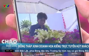 Đồng Tháp: Kinh doanh hoa kiểng trực tuyến hút khách