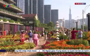 Người dân thích thú với vườn hoa Tết bên sông