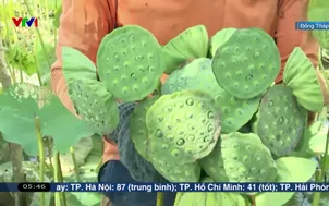 Biến phế phẩm nông nghiệp thành hàng hóa