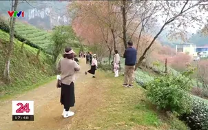 Lào Cai: Làm mới điểm đến, hút khách dịp đầu năm