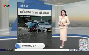 Bản tin thời tiết 12h30 - 07/01/2026