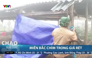 Miền Bắc chìm trong giá rét