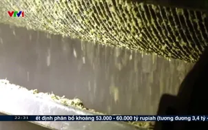 Một thế kỷ đường mía ở Tully, Australia