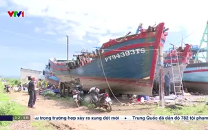 Sửa chữa tàu chuẩn bị vụ cá mới