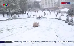 Châu Âu trong bão tuyết: Vẻ đẹp mùa đông