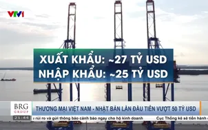 Thương mại Việt Nam - Nhật Bản lần đầu tiên vượt 50 tỷ USD
