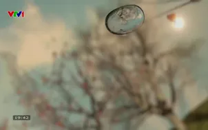 Bản tin thời tiết 19h45 - 09/01/2026