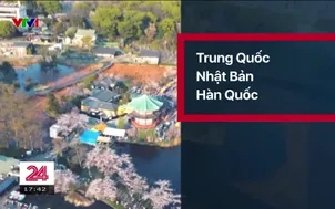 Vé máy bay, tour du lịch kín chỗ dịp Tết nguyên đán