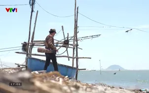 Nhật ký người Việt - 11/01/2026