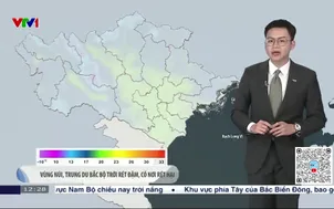 Bản tin thời tiết 12h30 - 11/01/2026