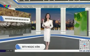 Bản tin thời tiết 19h45 - 11/01/2026