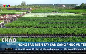 Nông sản miền Tây sẵn sàng phục vụ Tết