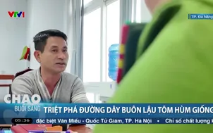 Triệt phá đường dây buôn lậu tôm hùm giống