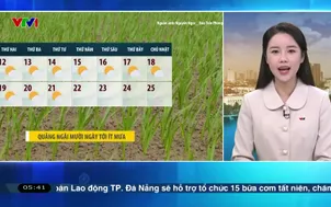 Bản tin thời tiết 5h30 - 12/01/2026