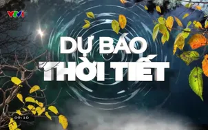 Bản tin thời tiết 9h10 - 12/01/2026