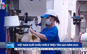 Việt Nam xuất khẩu hơn 8 triệu tấn gạo năm 2025