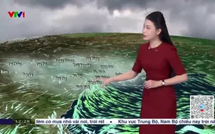 Bản tin thời tiết 12h30 - 14/01/2026