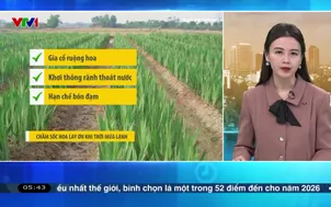 Bản tin thời tiết 5h30 - 14/01/2026