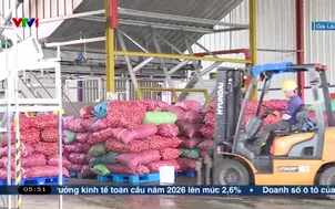 Động lực phát triển nền nông nghiệp hiện đại