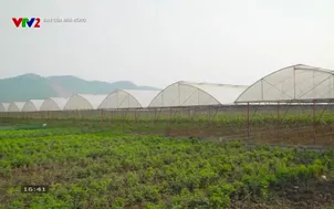 Bạn của nhà nông - 15/01/2026