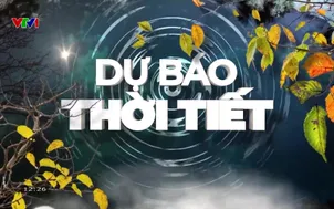 Bản tin thời tiết 12h30 - 16/01/2026