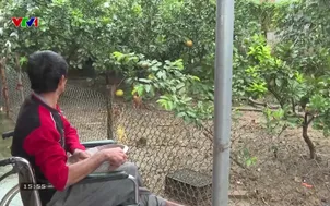 Về quê - 17/01/2026