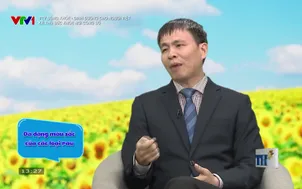 VTV Sống khỏe: Kẻ thù sức khỏe nơi công sở