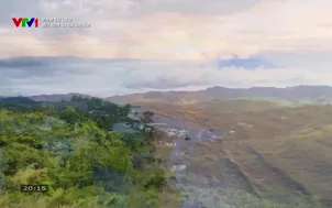 Phim tài liệu: Mít non, cá chuồn