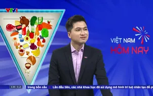 Tháp dinh dưỡng Mỹ