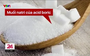 Công nghệ tầm ướp hàn the trong giò chả