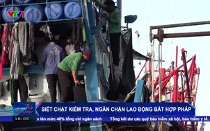 Siết chặt kiểm tra, ngăn chặn lao động bất hợp pháp
