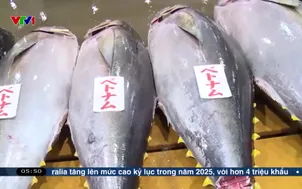 Xây dựng nhãn sinh thái cho cá ngừ