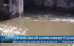 Lấy nước gieo cấy vụ Đông Xuân đạt tỷ lệ cao