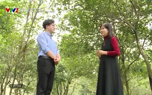 Đường tới nông trại: Bảo tồn dược liệu dưới tán rừng