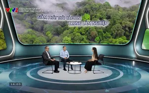 Giao lưu - Tọa đàm: Giảm phát thải các bon trong lâm nghiệp