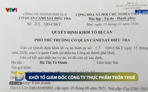 Khởi tố giám đốc công ty thực phẩm trốn thuế