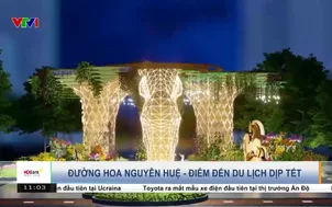 Đường hoa Nguyễn Huệ - điểm đến du lịch dịp Tết