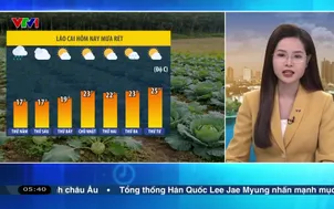 Bản tin thời tiết 5h30 - 22/01/2026