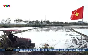 Đảm bảo đủ giống gieo cấy vụ Đông Xuân