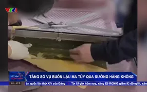 Tăng số vụ buôn lậu ma tuý qua đường hàng không