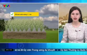 Bản tin thời tiết 5h30 - 23/01/2026