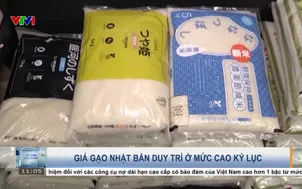 Giá gạo Nhật Bản duy trì ở mức cao kỷ lục