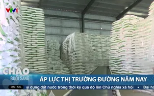 Áp lực thị trường đường năm nay