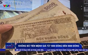 Không bỏ tiền mệnh giá từ 1000 đồng đến 5000 đồng