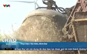 Liên kết sản xuất nâng cao giá trị