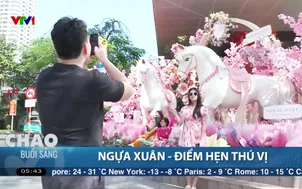 Ngựa Xuân - điểm hẹn thú vị