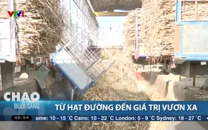 Từ hạt đường đến giá trị vươn xa