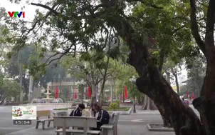 Cùng em đến trường: Sinh viên vượt khó