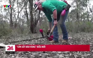 "Cơn sốt" đào vàng kiểu mới